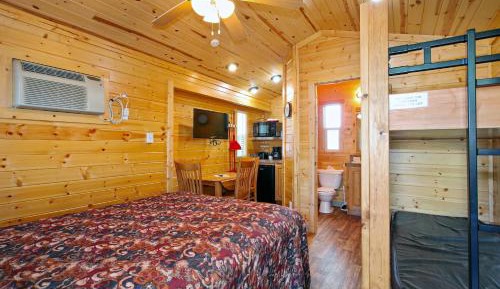 Studio Cabin