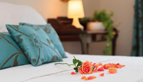 Family Room with Garden View