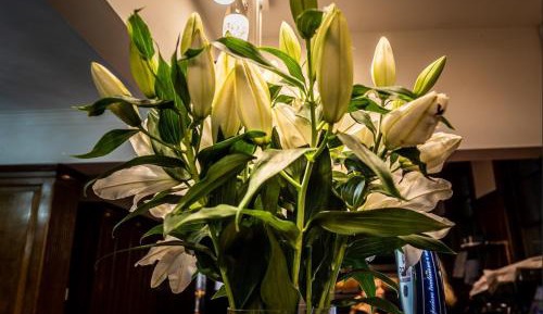 Family Room with Shared Bathroom