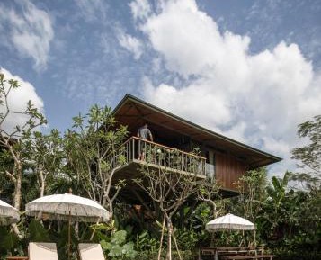 Treehouse Suite