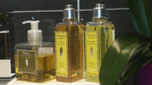 Apartment with Mountain View