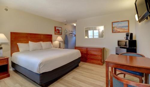 Standard King Room