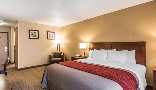 Standard King Room - Non-Smoking 