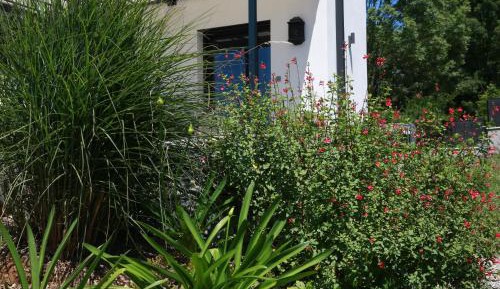 Deluxe Double Room with Shower