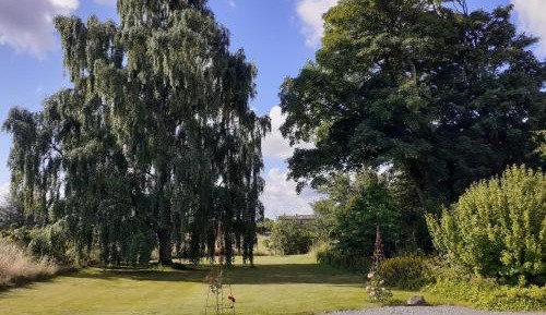 Double Room with Shared Bathroom