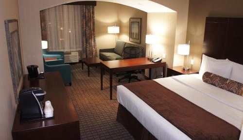 Deluxe King Suite with Sofa Bed  - Non-Smoking