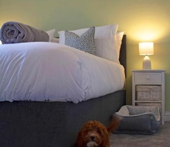 Deluxe Double or Twin Room with Garden View