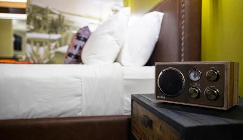 Campfire King Pet Friendly