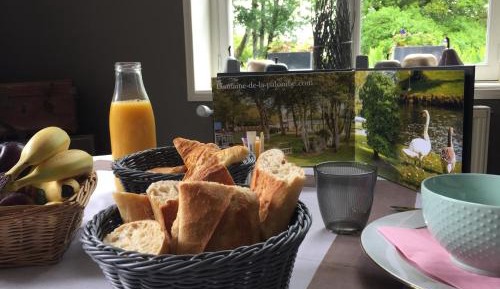 Family Room with Garden View