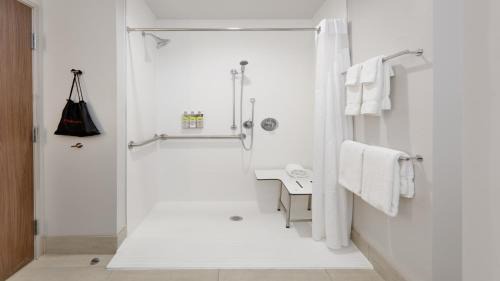 Standard King Room with Mobility Accessible Roll-In Shower