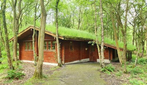 Woodland Lodge - self catering