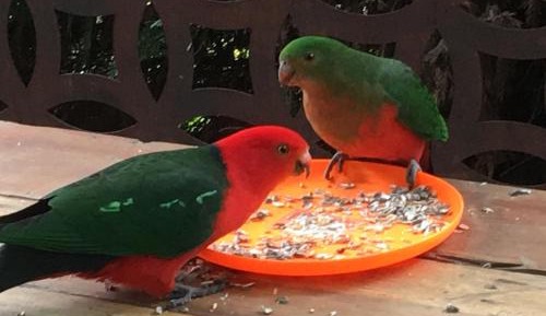 Two-Bedroom Cottage - Coachouse