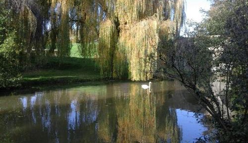 Apartment with Terrace
