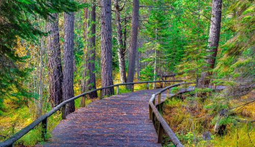 Four bedroom holiday home 