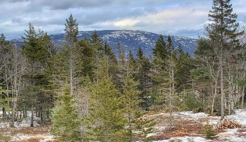 Three Bedroom holiday home 