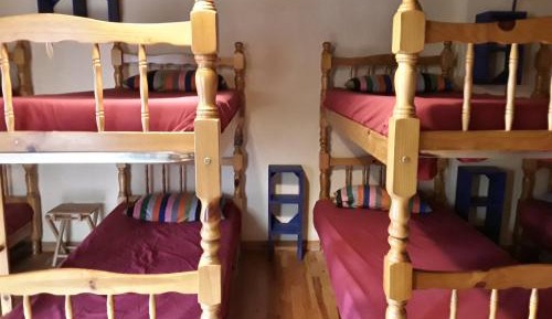 Bunk Bed in Mixed Dormitory Room