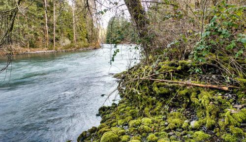 one bedroom holiday home