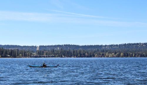 Three Bedroom Apartment