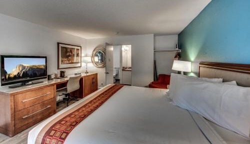 Single Room - Disability Access