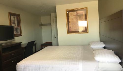 Budget Single Room