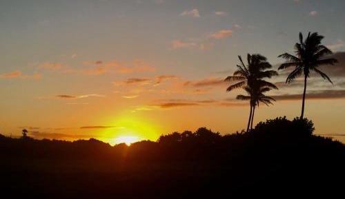 Studio Apartment with Sea View