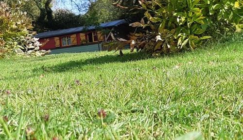 Double Room with Private External Bathroom