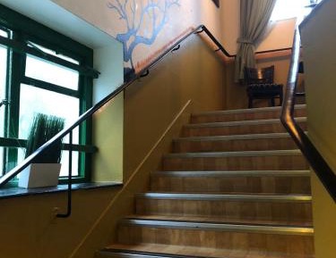 Single Bed in Mixed Dormitory Room