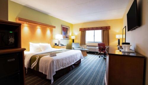 King Room - Non-Smoking