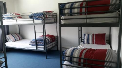 Bed in 6-Bed Mixed Dormitory Room