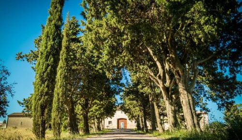 Three-Bedroom Cottage