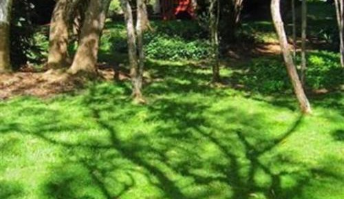 Apartment with Garden View