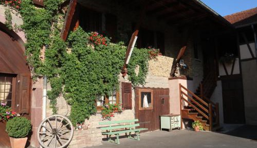 Apartment with Terrace