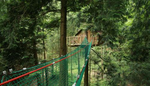 Tree House (2 Adults)