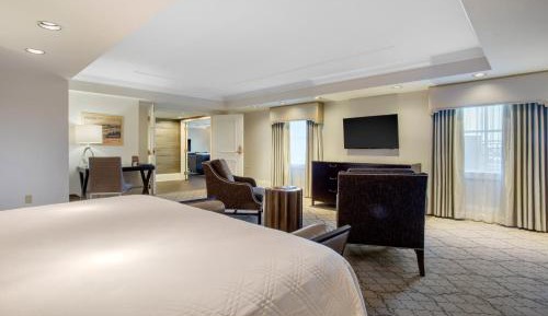 Luxury Suite - 1 King Bed