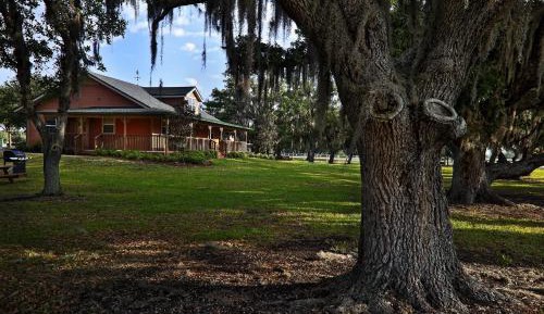 Saddle Club Studio Cabin