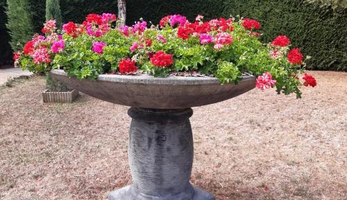 Standard Double Room with Shared Bathroom