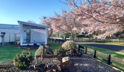 Double Room with Patio