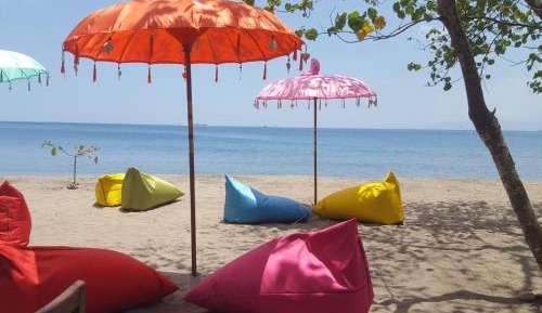 Bed in 4-Bed Mixed Dormitory Room