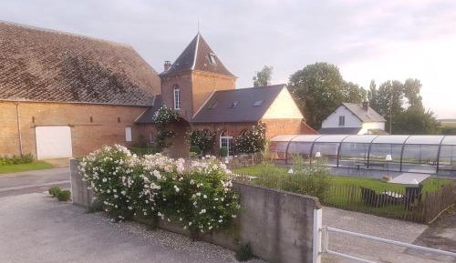 Three-Bedroom Cottage