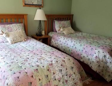 Standard Twin Room (Green)