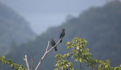 Deluxe Double Room with Balcony and Sea View