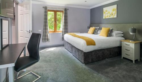 Superior Family Room