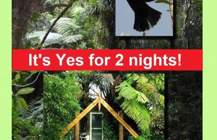 Double Room with Garden View - 1