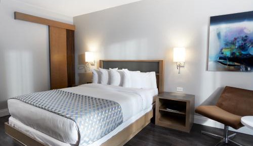 Queen Room - Ground Floor