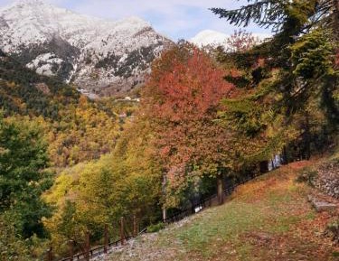 Apartment with Garden View