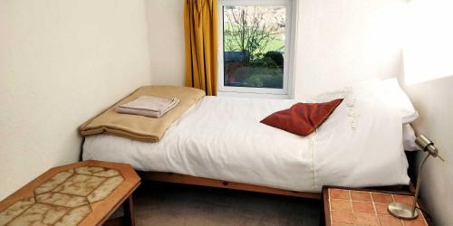 Single Room with Shared Bathroom