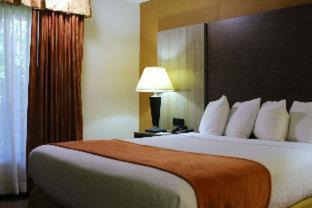 Queen Room with Roll-In Shower - Mobility Access