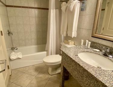 One-Bedroom Suite Oceanfront with Sofa Bed over 550 sq. ft.- Balcony/Lower Floor