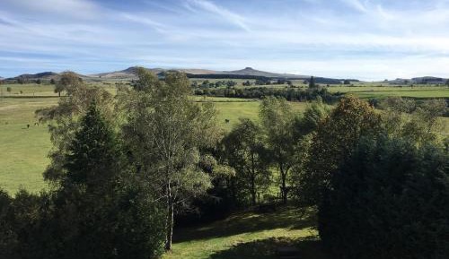 Quadruple Room (2 Adults + 2 Children)