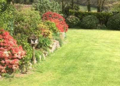 Queen Room with Garden View